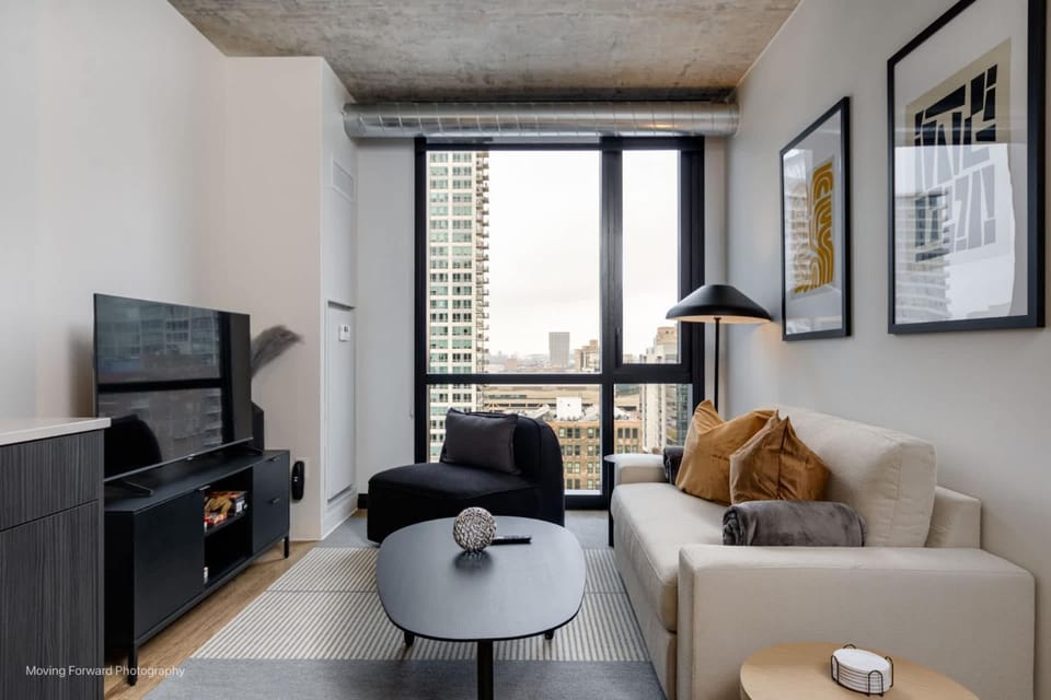 South Loop Rooftop With In and Out Parking 2 Apartment in South Loop