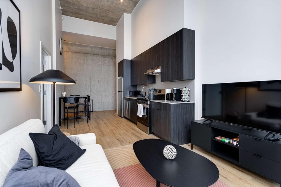 South Loop Rooftop With In and Out Parking 3 Apartment in South Loop