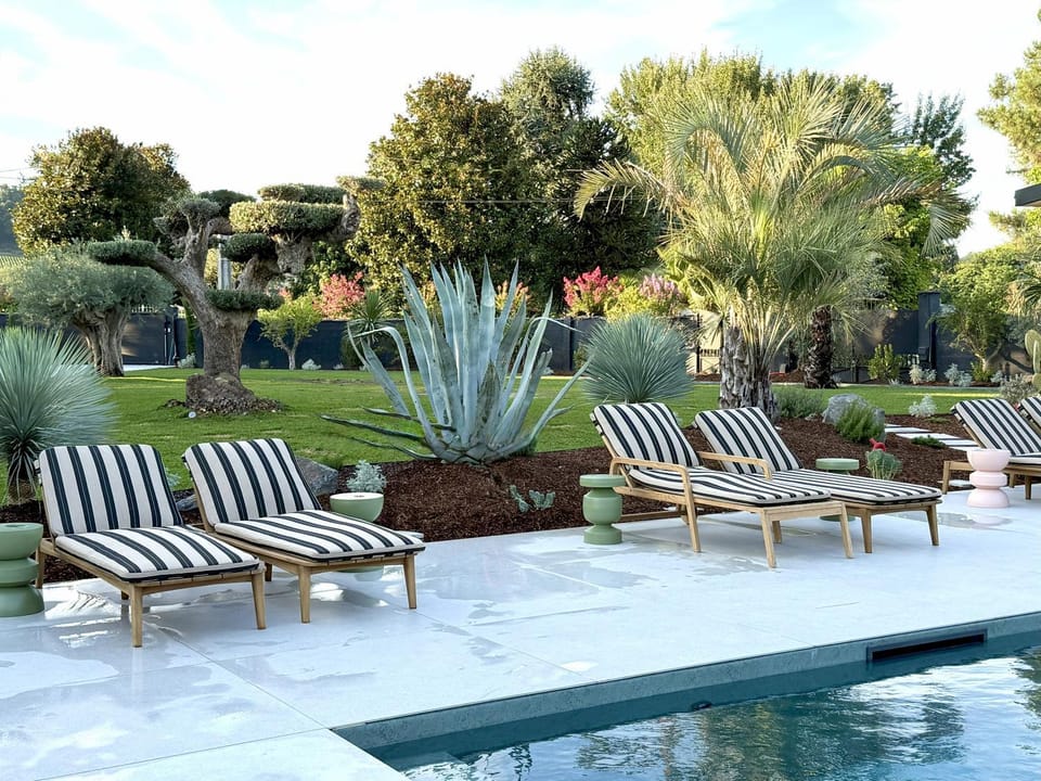 Garden, Garden view, Pool view, Swimming pool, Swimming pool, sunbed