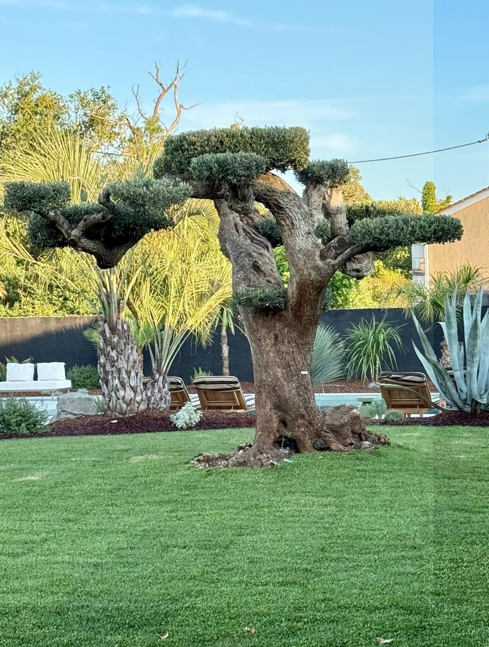 Garden view