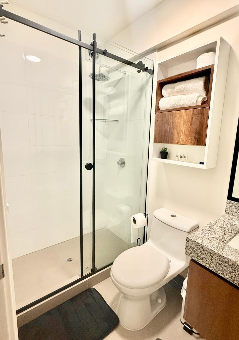 Shower, Toilet, Bathroom, towels
