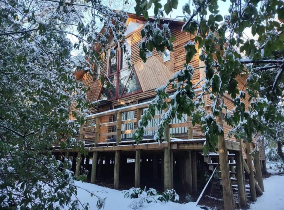 Property building, Winter