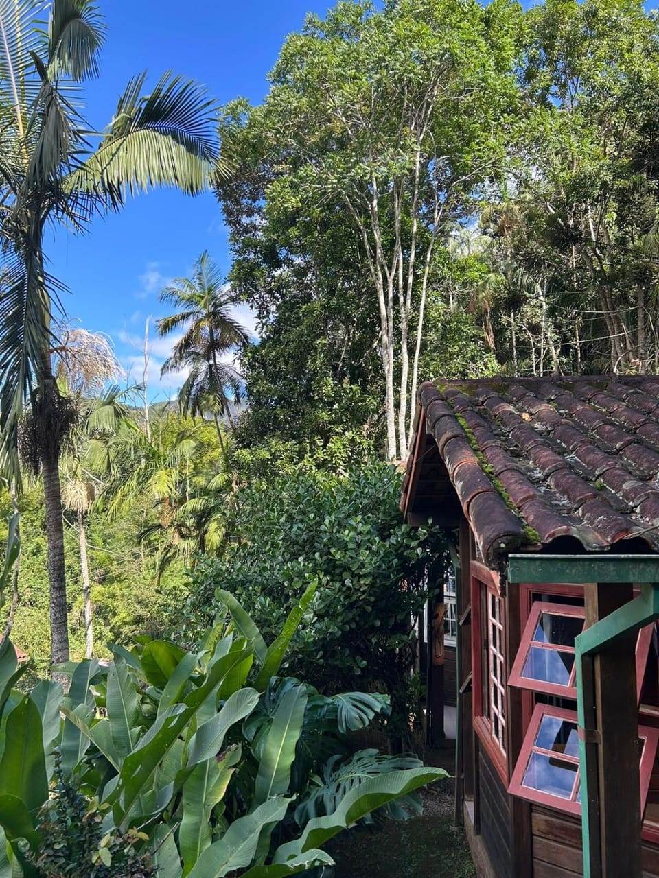 Garden view