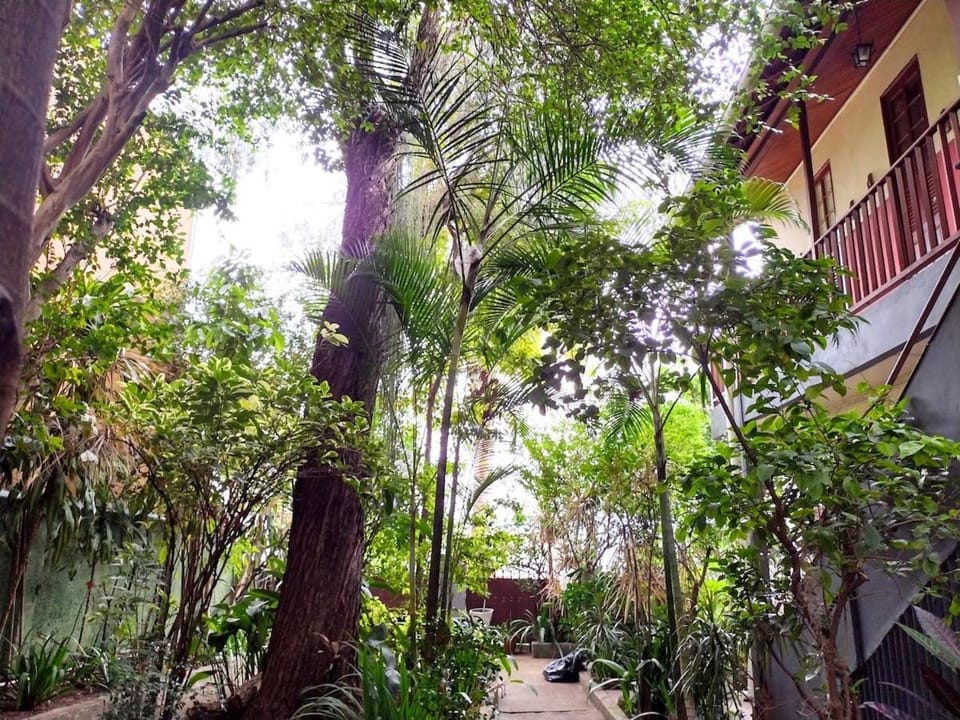 Property building, Natural landscape, Garden, Garden view