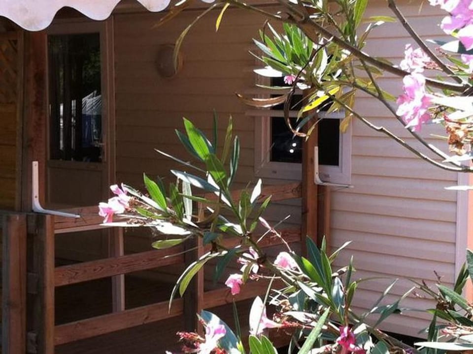 Mobil-home avec Terrasse à Bormes-les-Mimosas - API-1-52-190 Campground/ 
RV Resort in Bormes-les-Mimosas