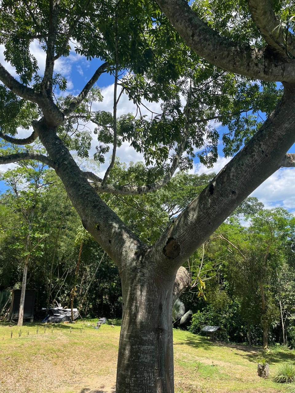 Romantic Glamping NEW - Piscina Campground/ 
RV Resort in Villeta