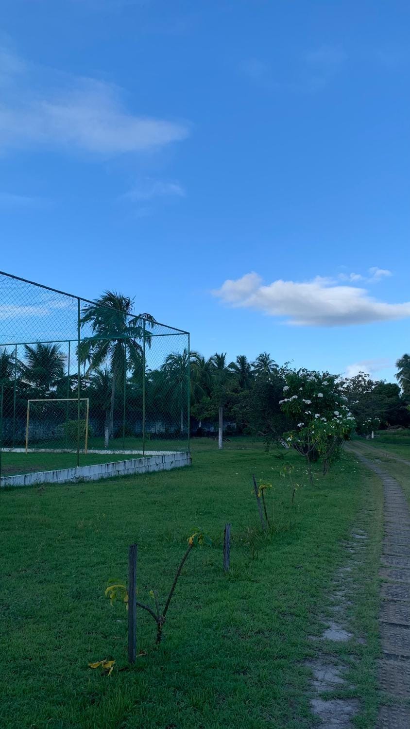 Natural landscape, Garden view
