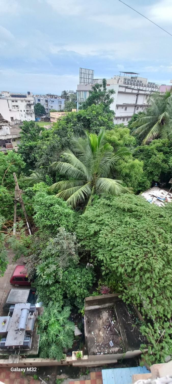 Natural landscape, City view