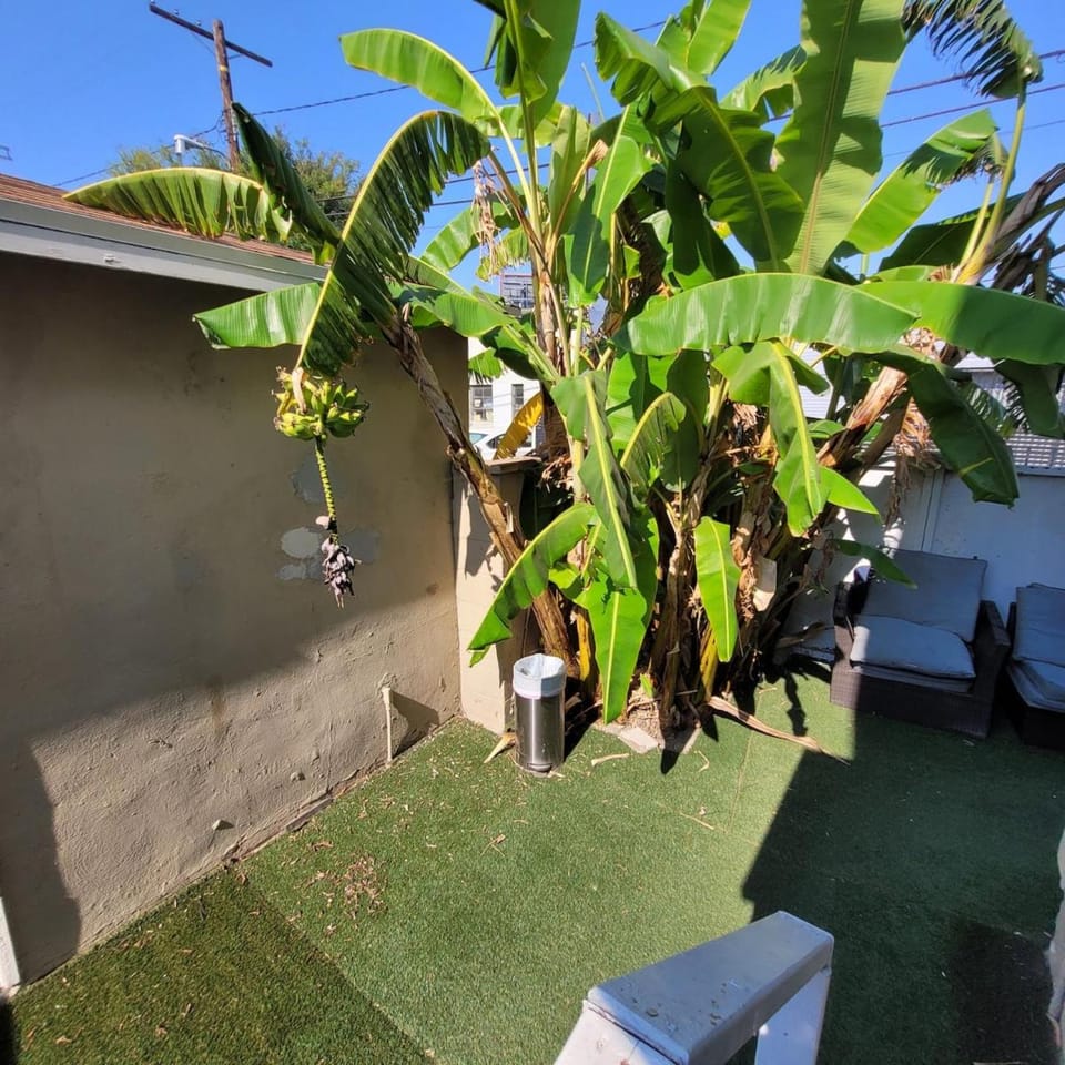 BH Adj, studio spacious BH Apartment in San Fernando Valley