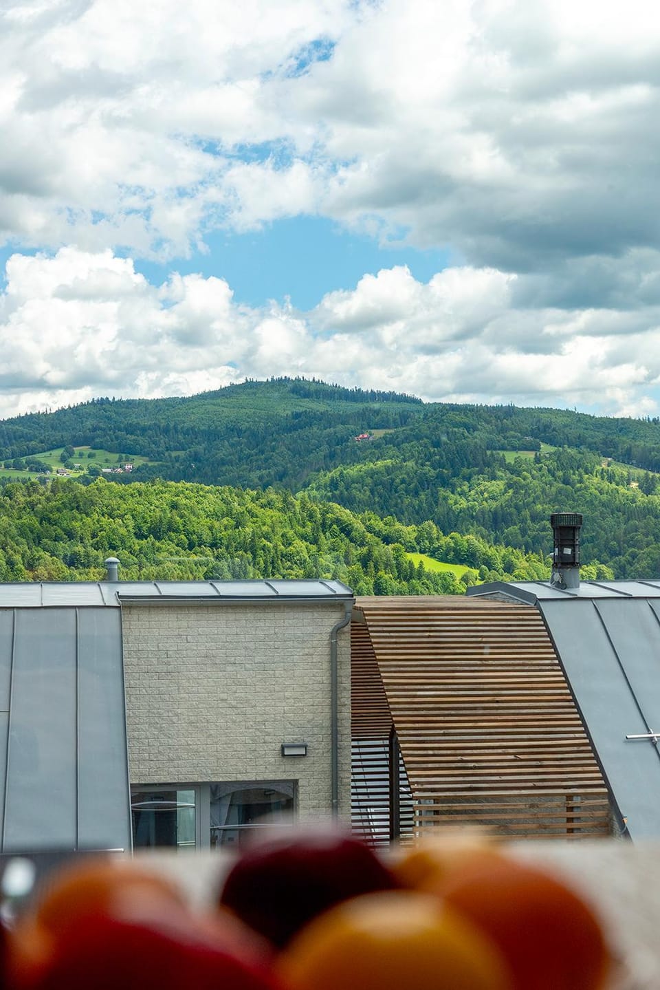 Day, View (from property/room), Living room, Mountain view