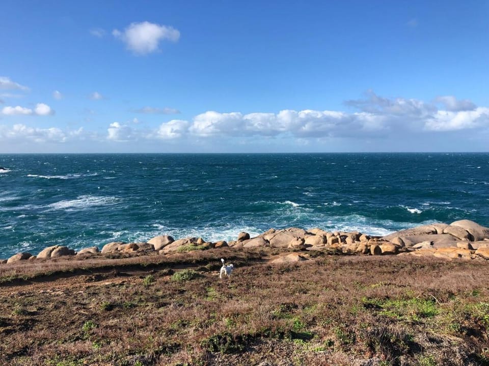 Tea Tree Cottage - Heart of Port Elliot House in Port Elliot