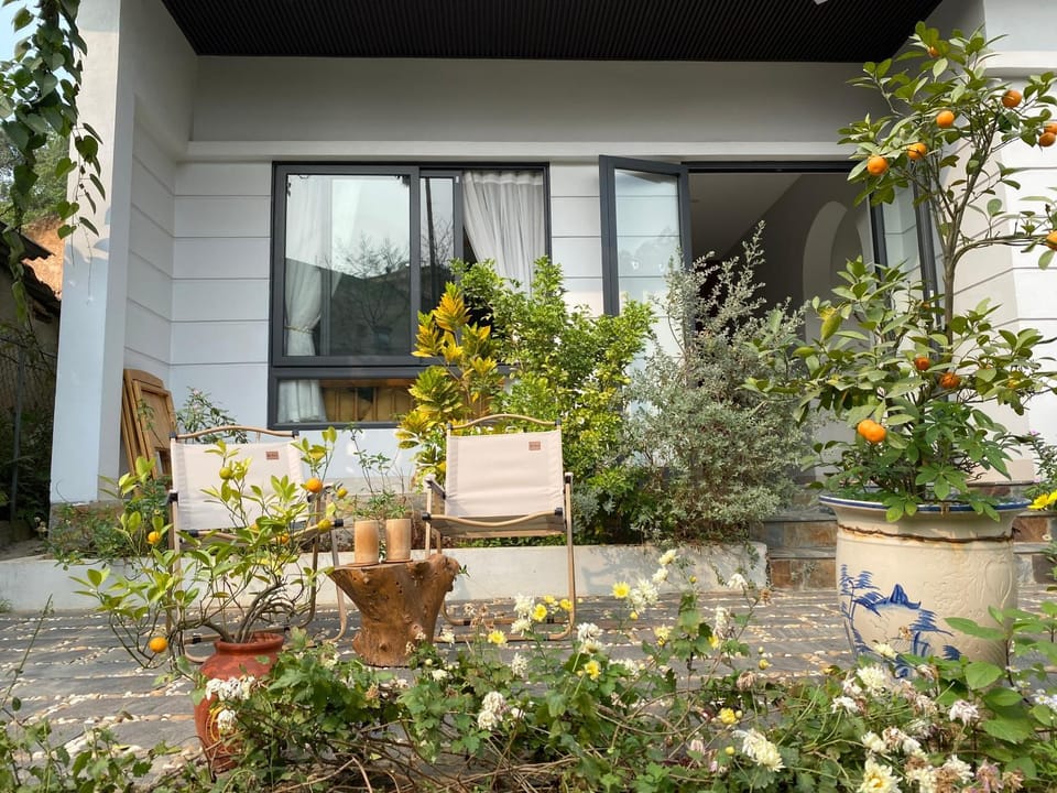 Property building, Patio, Day