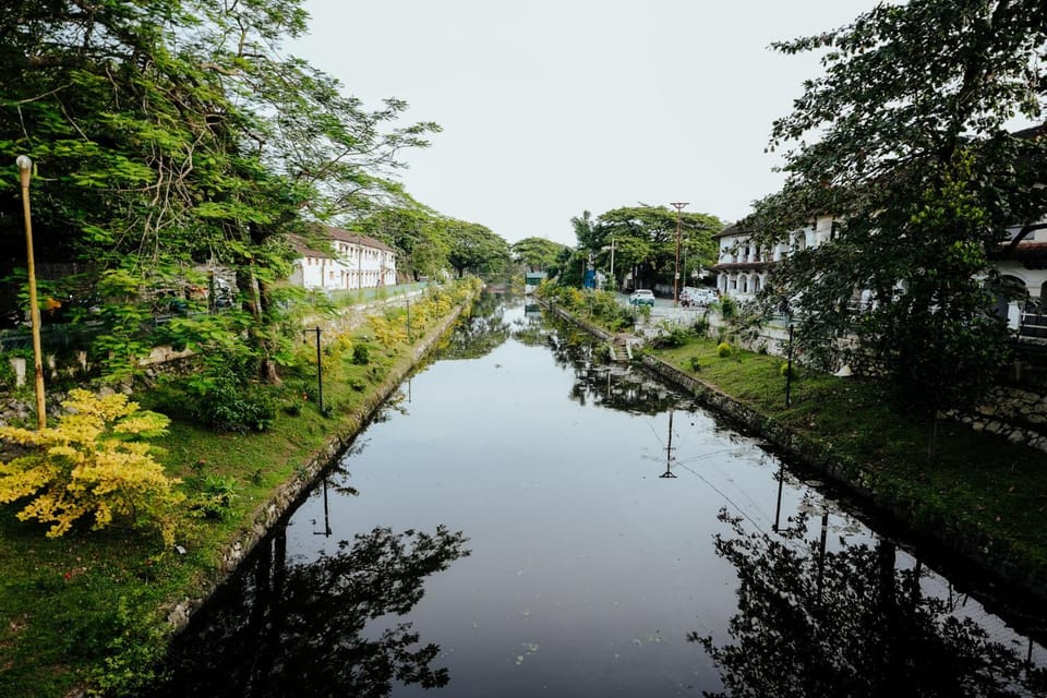 Day, Natural landscape