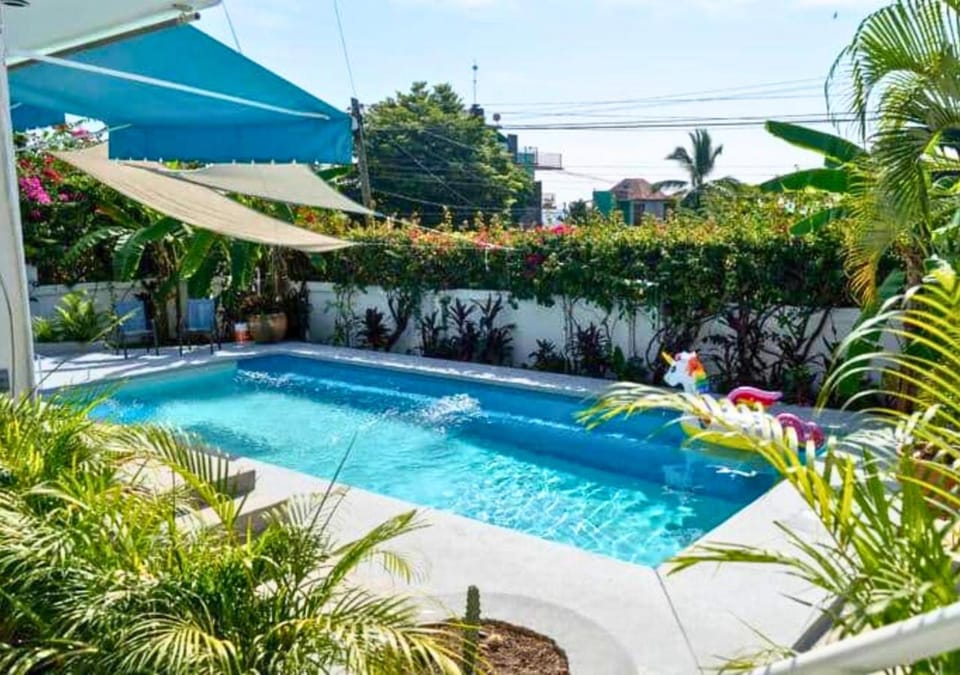 Day, Garden, Garden view, Pool view, Swimming pool, Swimming pool, sunbed