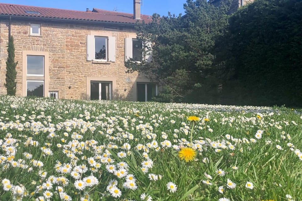 Le Cerf - House with view and swimming pool Villa in Auvergne-Rhône-Alpes