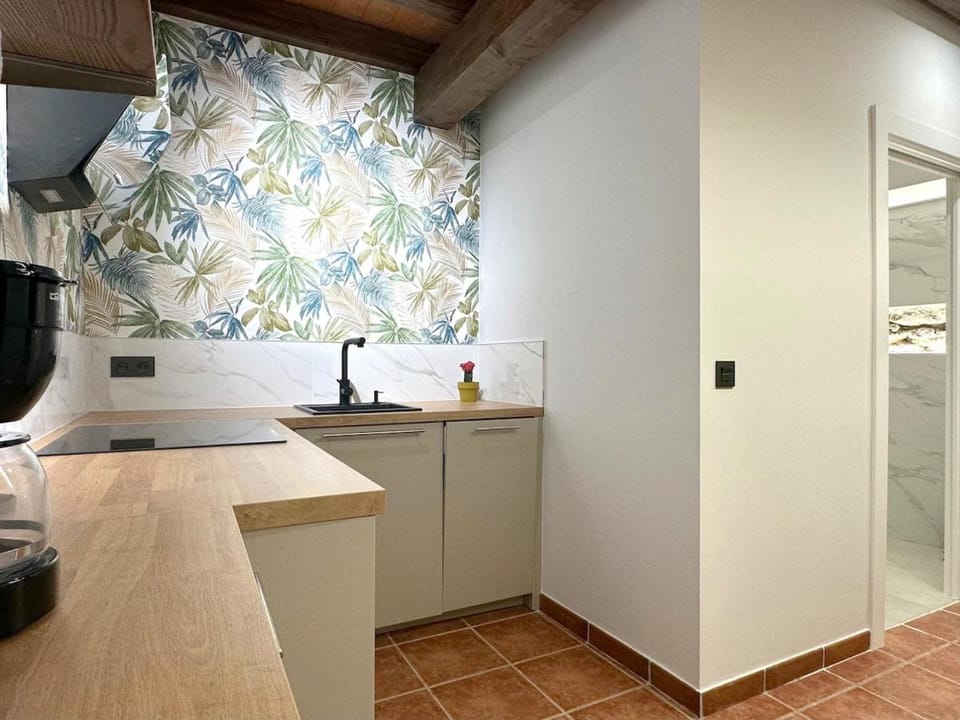 Apartamento con patio privado en el centro de Laredo Apartment in Laredo
