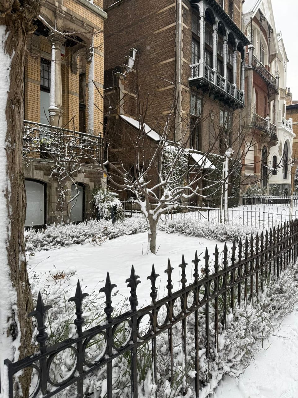 Property building, Winter, Street view