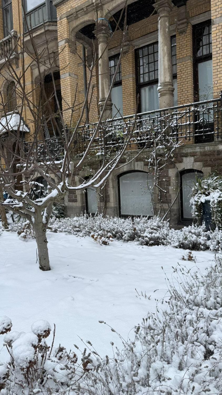 Property building, Day, Winter