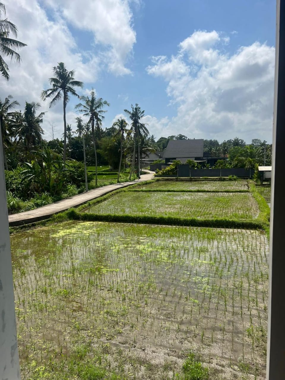 The Amani Villa in Sukawati