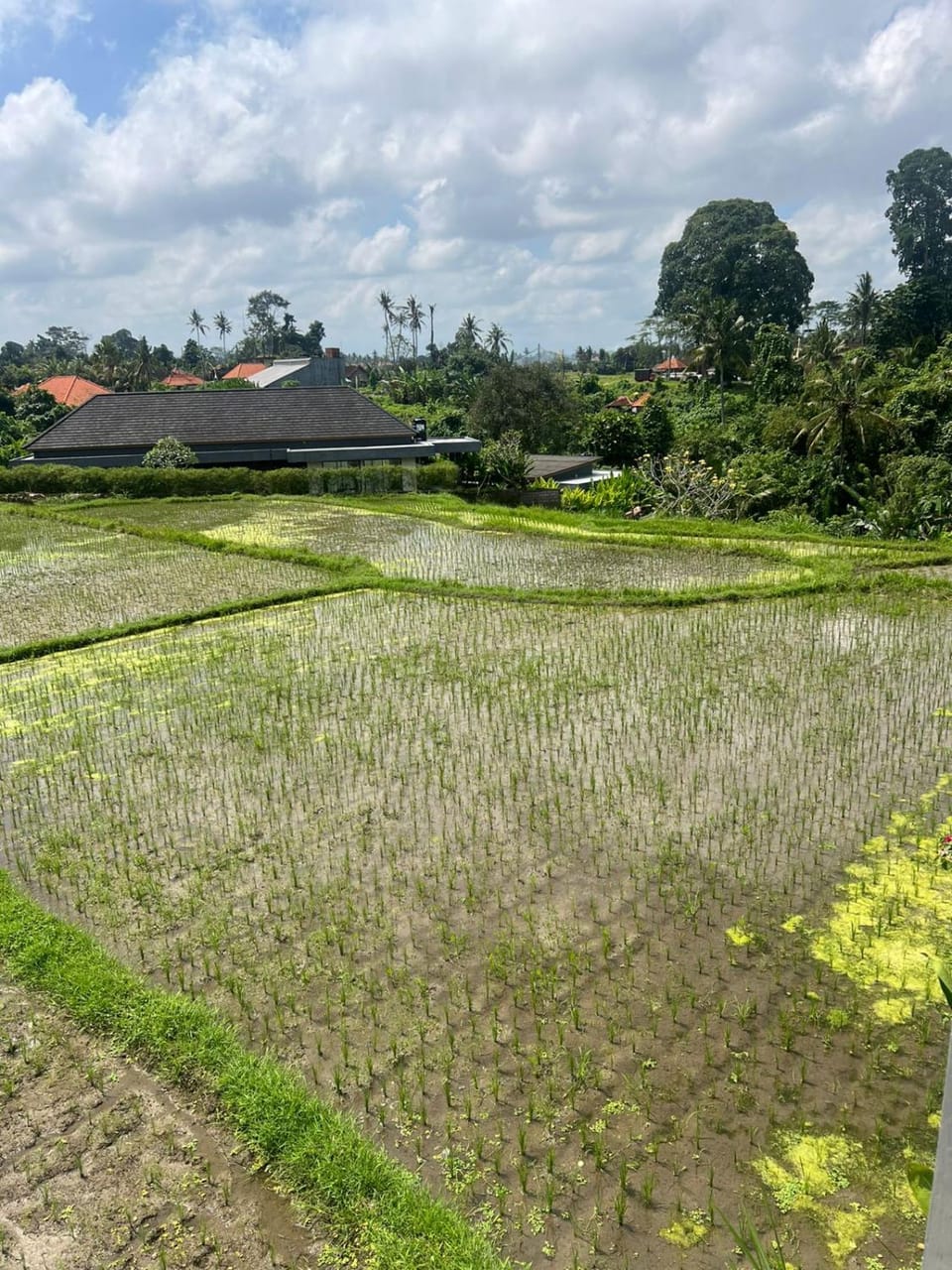 The Amani Villa in Sukawati