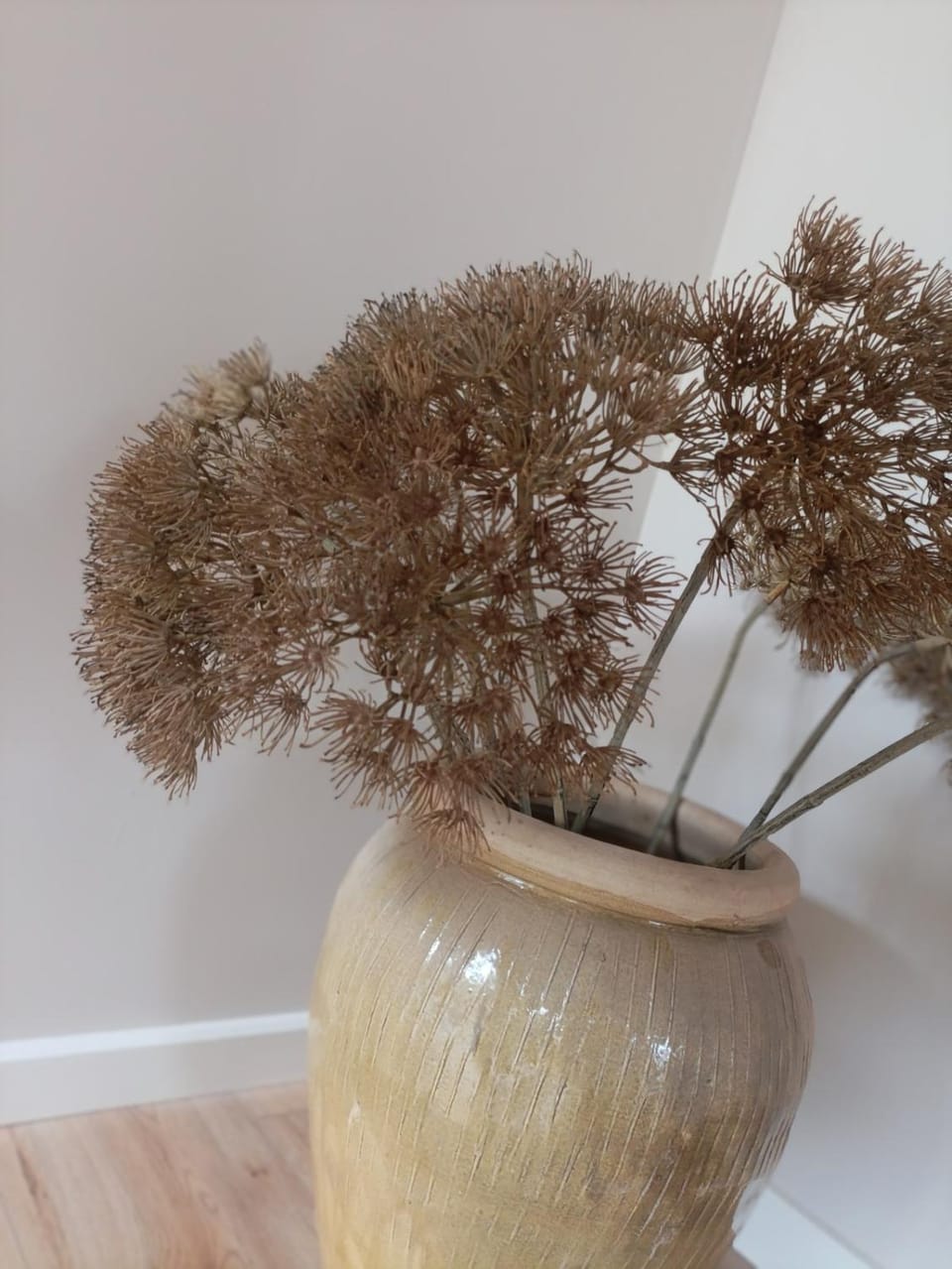 Mediterranean apartment with home theater Apartment in South Holland (province)