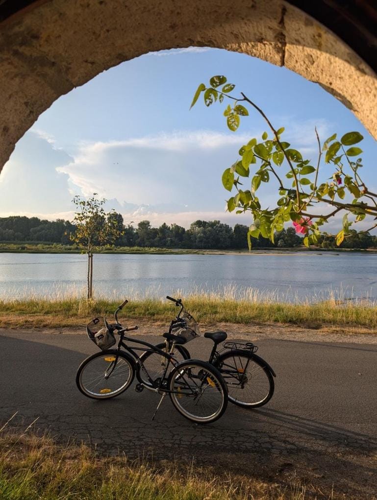 Maison de marinier les pieds dans l'eau face à la Loire House in Centre-Val de Loire