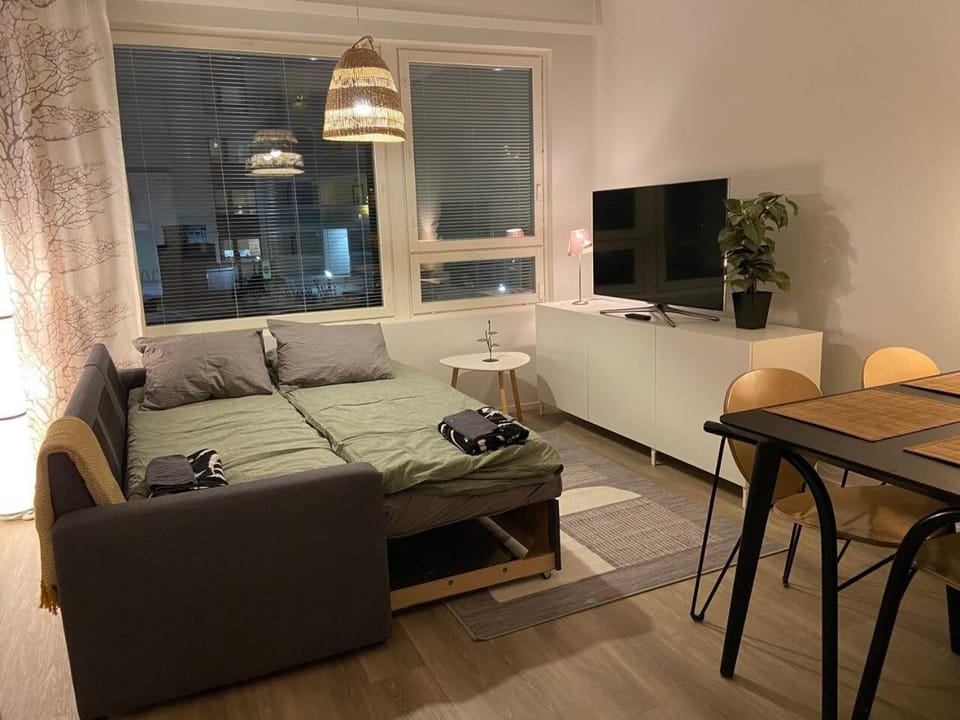 Polar City Suites by Book Lapland Apartment in Rovaniemi