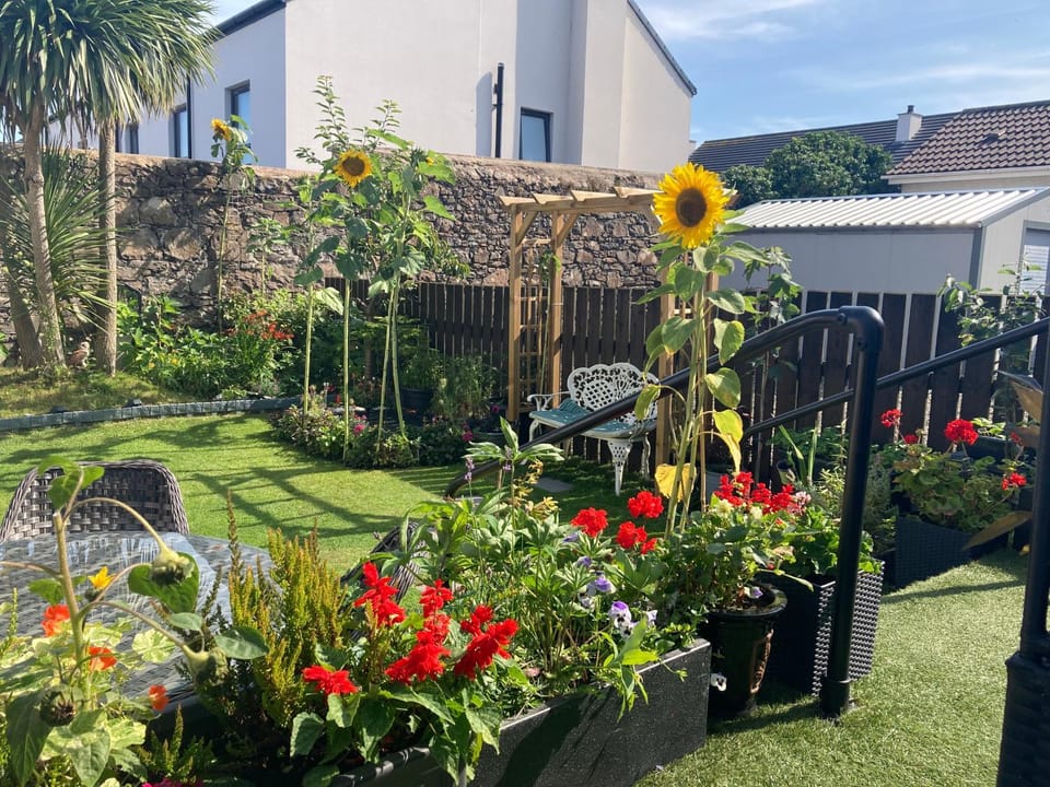 Patio, Balcony/Terrace