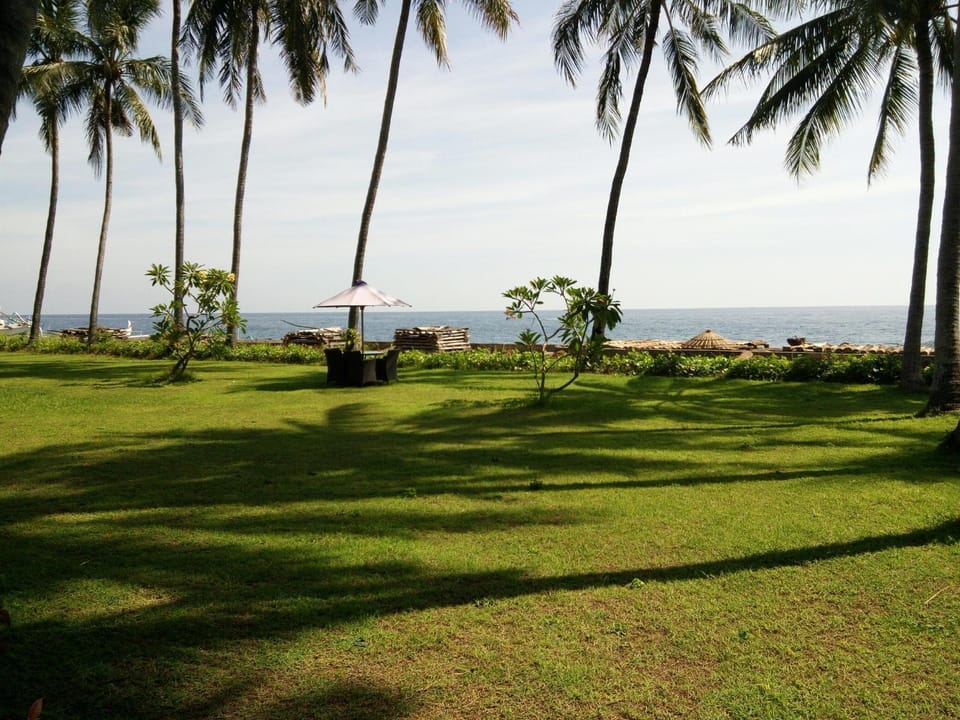 Garden view