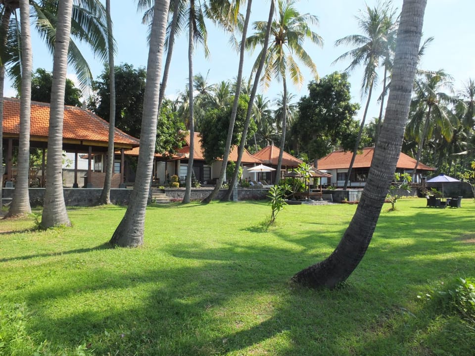 Garden view