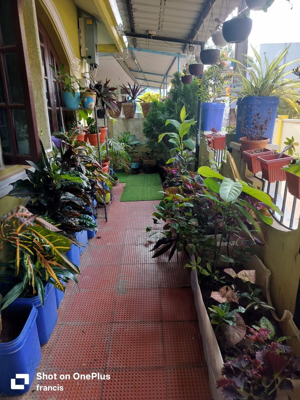 Garden view
