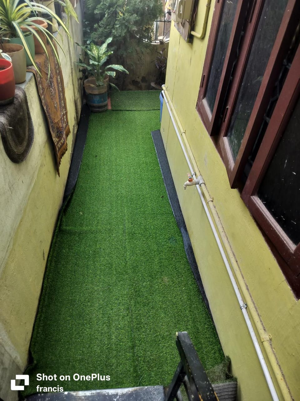 Garden view