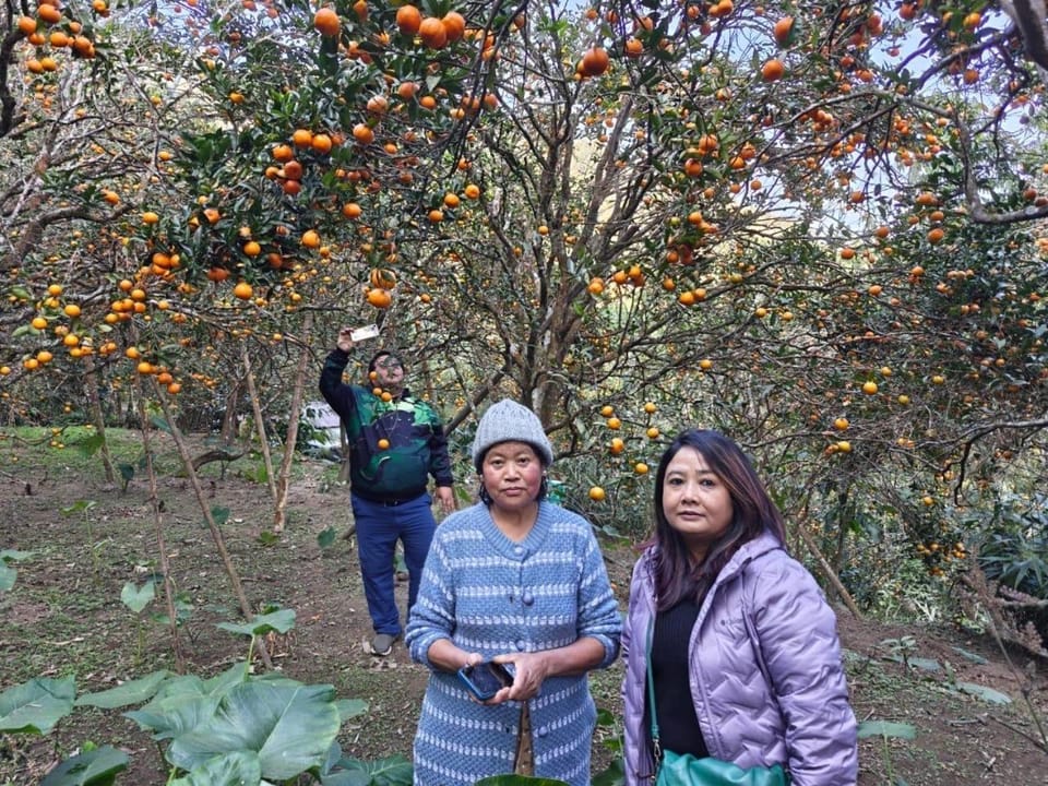 Garden, group of guests
