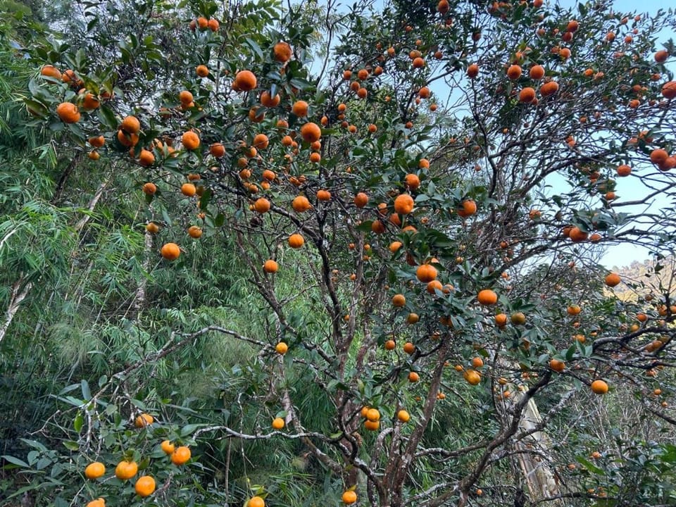 Natural landscape