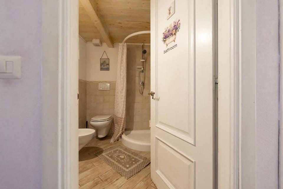 Shower, Toilet, Bathroom, bidet
