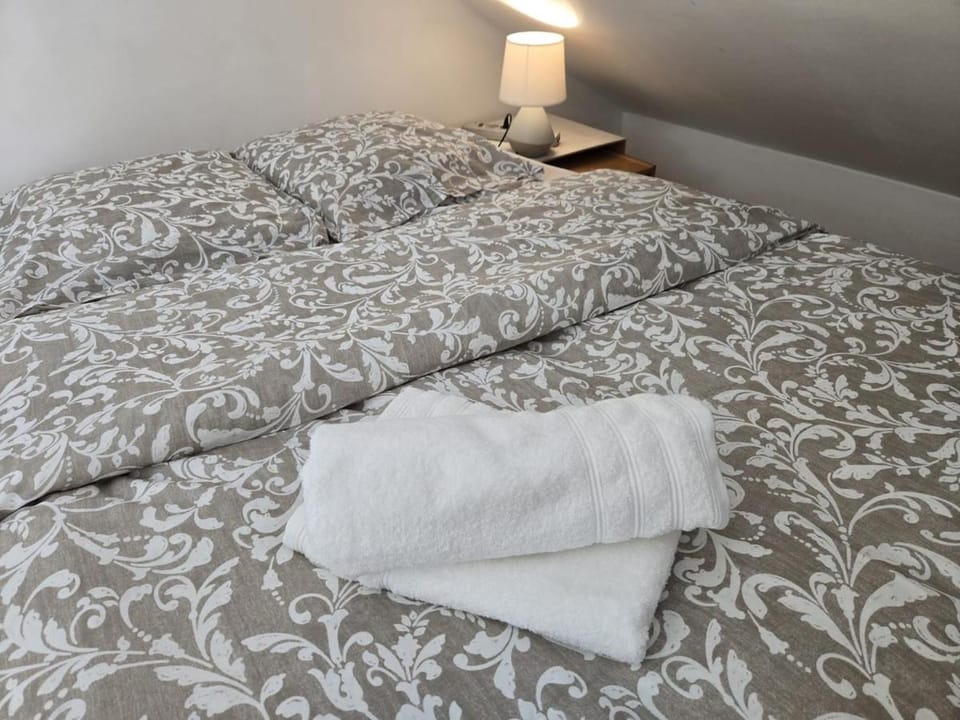 Grande maison calme proche centre terrasse jardin House in Besançon