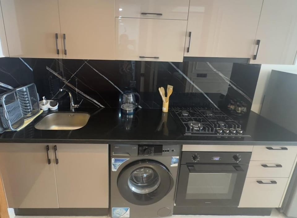 Kitchen or kitchenette, stove, washing machine