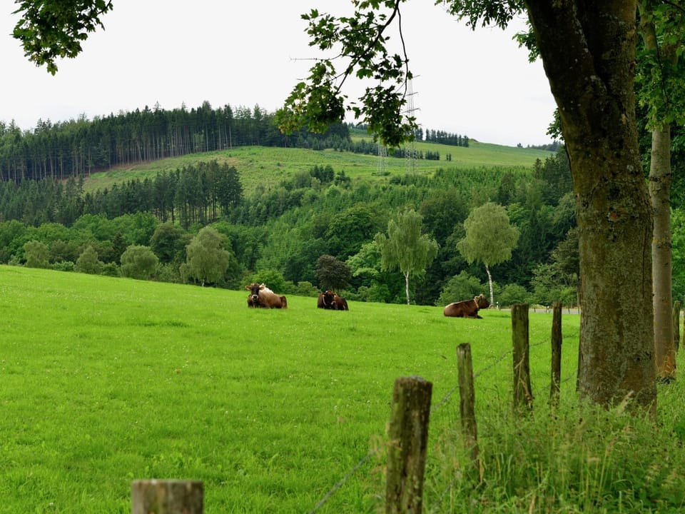 Neighbourhood