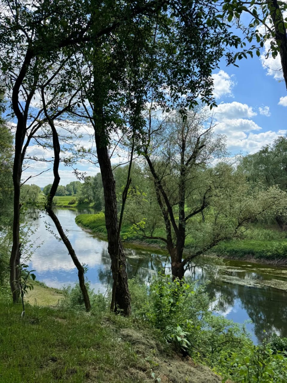 River view