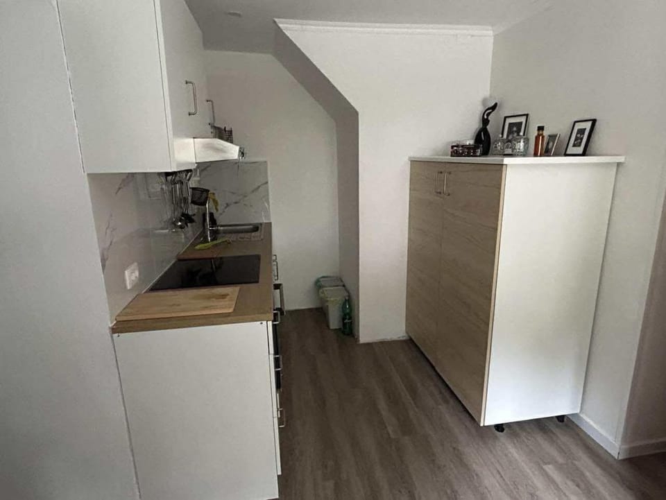 Kitchen or kitchenette, kitchen
