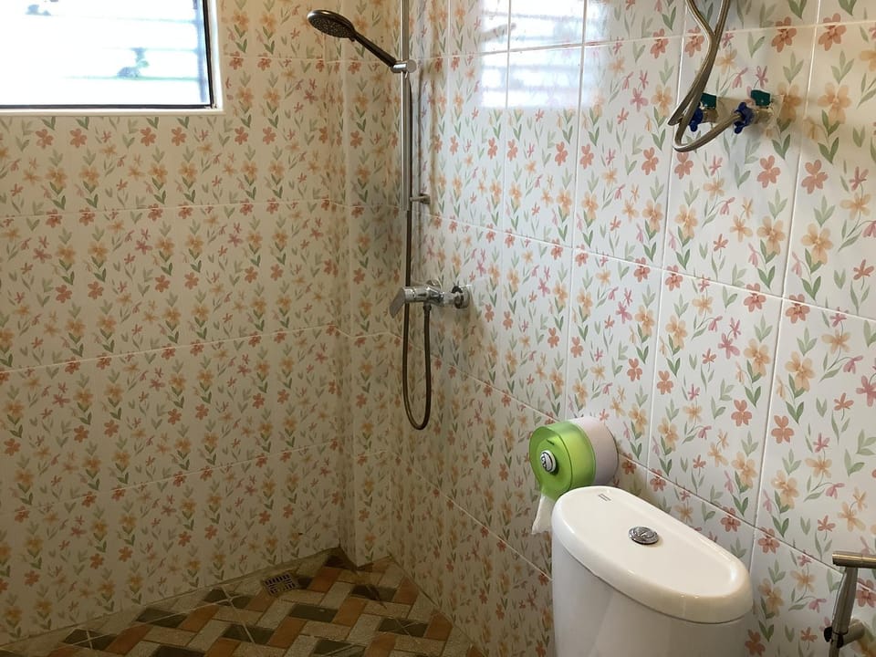 Shower, Toilet