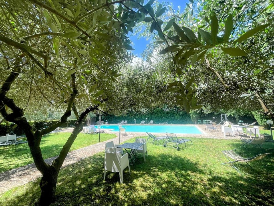 Garden, Swimming pool