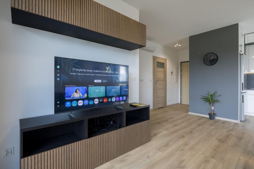 TV and multimedia