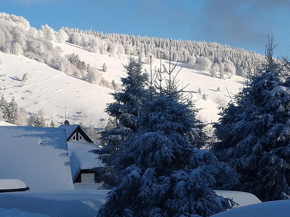 Mountain view