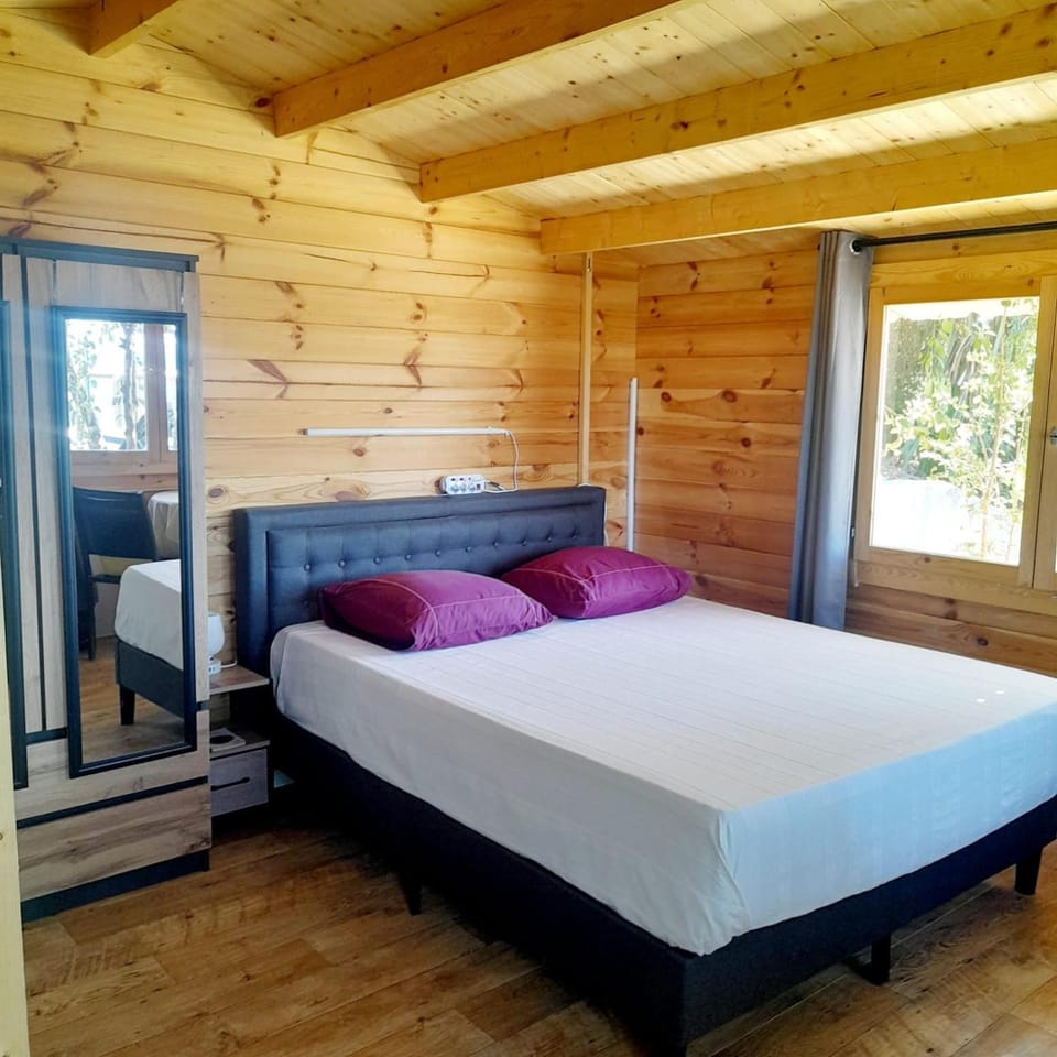Bed, Photo of the whole room, Bedroom, wardrobe