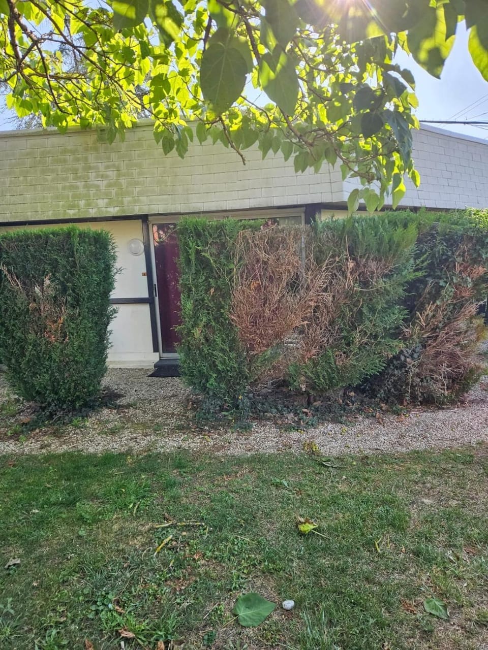 Soleil Apartment in Bourgogne-Franche-Comté