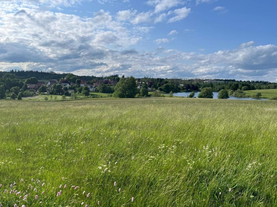 Ferienwohnung am Sumpfteich Apartment in Clausthal-Zellerfeld