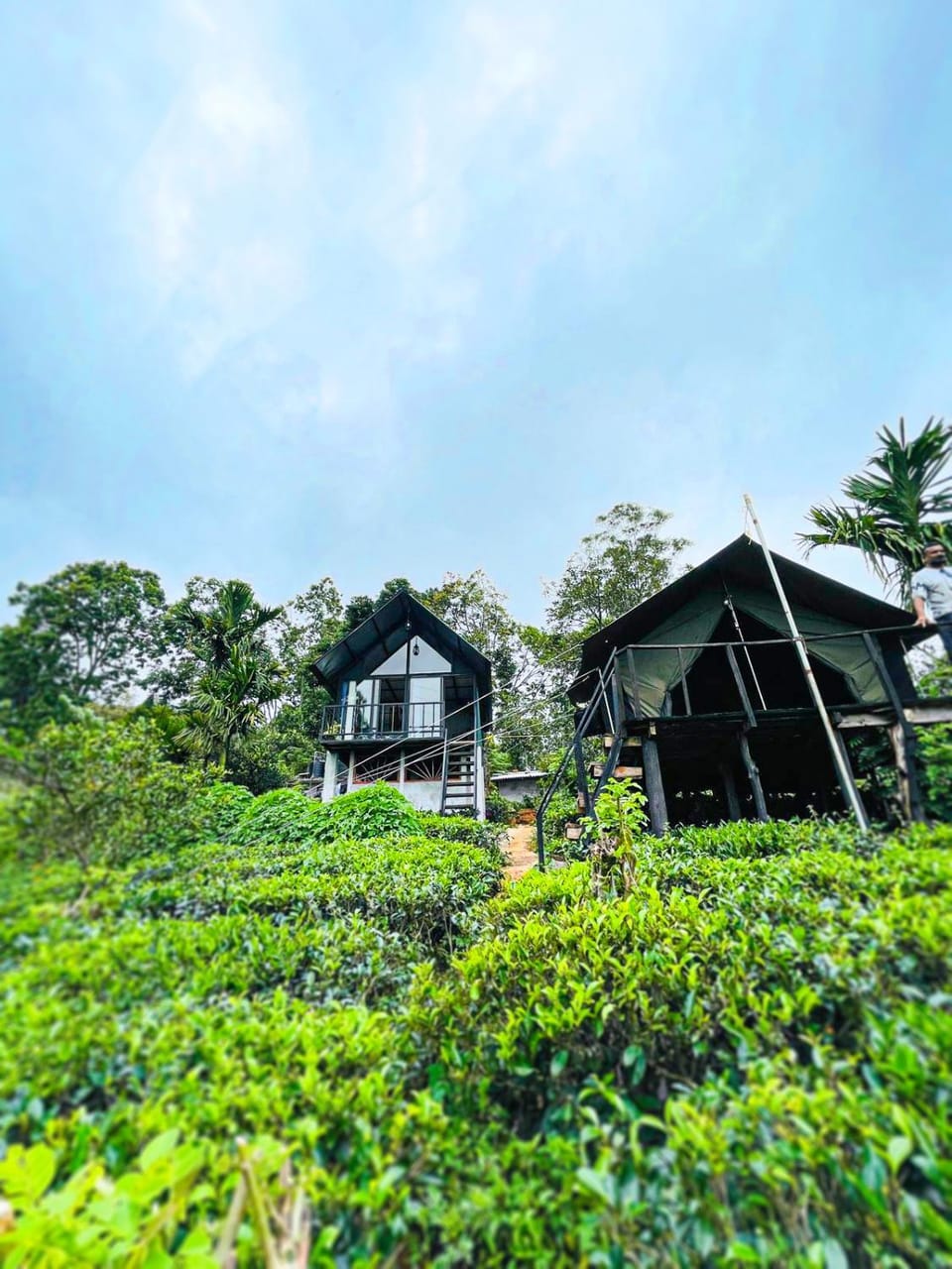 Property building, Day, Natural landscape, Garden, Garden view