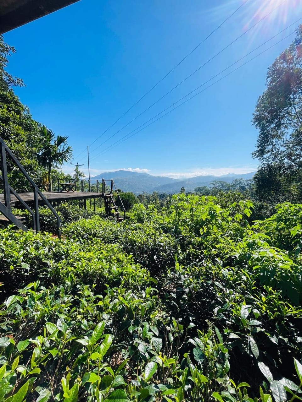 Nearby landmark, Natural landscape, Garden, Garden view, Garden view, Mountain view
