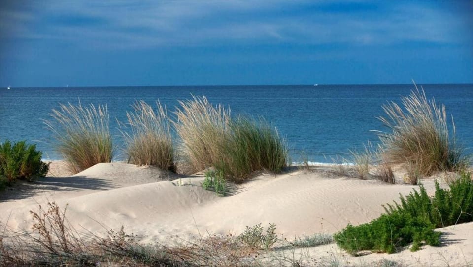 Natural landscape